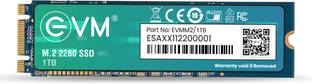 EVM M.2 (2280) SATA 1 TB All in One PC's, Desktop, Laptop Black SATA III Internal Solid State Drive (S...