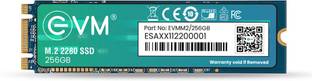 EVM M.2 (2280) SATA 256 GB All in One PC's, Desktop, Laptop Black M.2 Internal Solid State Drive (SSD) (EVMM2/256GB)