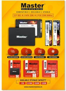 Master Memory 4 GB Memory Card 4 GB Laptop, Desktop, Surveillance Systems, Network Attached Storage, Servers, All in One PC's Black M.2 Internal Solid State Drive (SSD) (4 GB Memory Card)