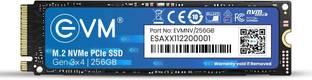 EVM NVMe (GEN 3) 256 GB All in One PC's, Desktop, Laptop Black PCIe NVMe Internal Solid State Drive (SSD) (EVMNV/256GB)