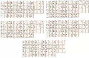 Red Champion Hindi-English Typing Sticker for Desktop & Laptop Water Proof (Pack of 5Pcs) Universal HP/DELL Keyboard Skin