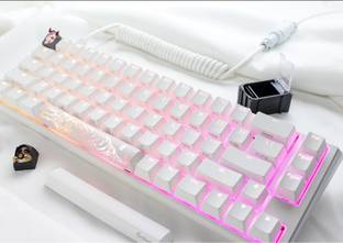 Ducky One 3 SF Pure White RGB Wired USB Laptop-size Gaming Keyboard Compatible with Desktop, Laptop, Mac