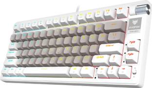EVOFOX Ronin TKL RGB Mechanical Wired USB Tenkeyless Gaming Keyboard Compatible with Desktop, Laptop, Mac