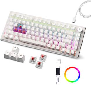 Kreo Hive RGB 75% Wired Mechanical Gaming Keyboard, Hot Swappable, Anti-ghosting Wired USB Tenkeyless Gaming Keyboard Compatible with Desktop, Laptop, Mac