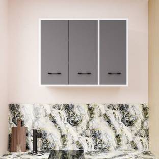 Ladybug 3 Inside Door Multipurpose Wall Mount Cabinet with Adjustable Shelf for Kitchen Engineered Wood Kitchen Cabinet