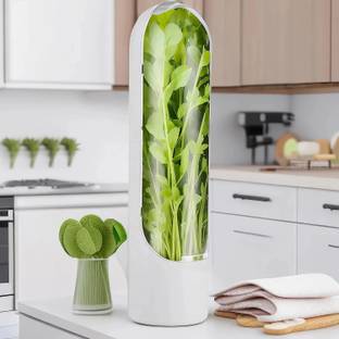 SAKSAA Containers Kitchen Rack Plastic herb keeper for refriregarator