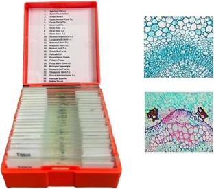 labgenius scientific Standard Slide