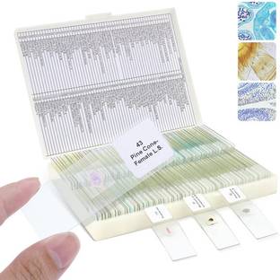 labgenius scientific lab50zb Standard Slide