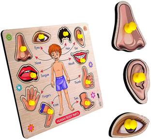Cyrus NEW LAUNCH WOODEN QUALITY BODY PART BOARD LEARNING TOY FOR ALL KIDS.