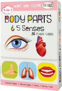 Kyds Play Body Parts & 5 Senses