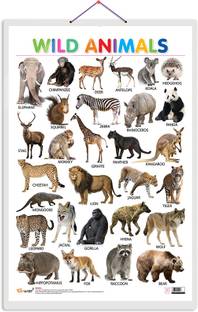 GO WOO Wild Animals Educational chart with Big font and Dust resistant Lamination