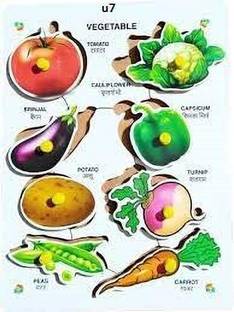 teezy Wooden Fruits Puzzle with Picture Educational Board for Kids with Knob_81