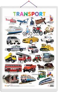 GO WOO Transport Educational chart with Big font and Dust resistant Lamination