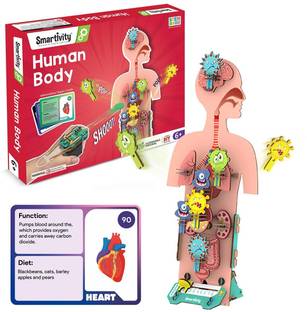 Smartivity Human Body STEM DIY Fun Toys for Kids 6 to 12 Years