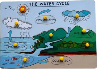 kiddiwinks The Water Cycle