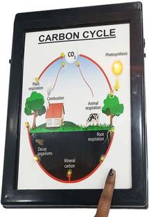 MELODY's Carbon Cycle Low Cost Teaching Aid (LOCTAS) Chemistry Science Project.