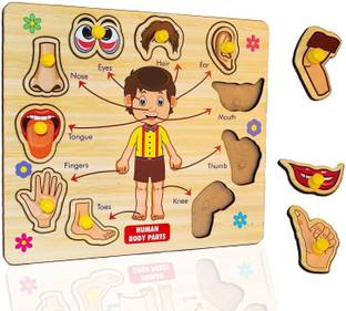 Plus Shine Wooden Human Body Parts Puzzle Board with Knobs, Educational and Learning Game