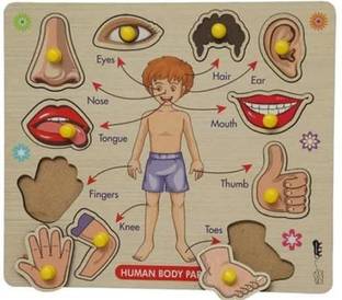Plus Shine Montessori Game for Learning Human Body Parts Anatomy Skeleton Puzzles Board