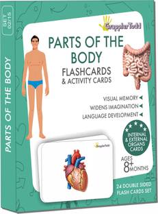 Grapplertodd Parts of The Body (Internal & External Organs) Flashcards for Kids