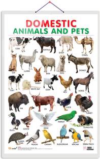GO WOO Domestic Animals and Pets Educational chart with Dust resistant Lamination
