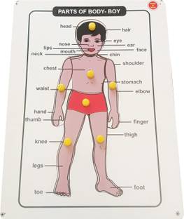 FireFlies Wooden Parts of Body Puzzle Board for Kids Age 3+ Y (Pack of 1 Pc)