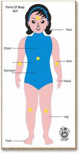 SKILLOFUN Parts of Body Tray