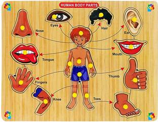 Childgossip Wooden Body Parts Learning Puzzle Toys Human Body Organs Chart Board