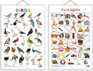 GO WOO Pack of 2 Birds and Telugu Alphabet (Telugu) Educational charts Lamination