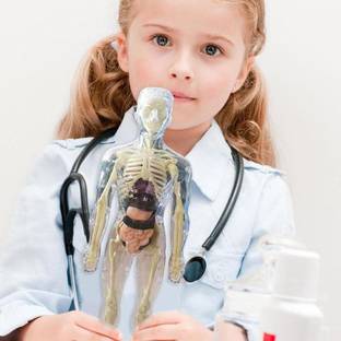 SPEEDFOX 3D Human Anatomy Model Kit for Kids – Educational DIY Body Structure Toy(Age 6+)