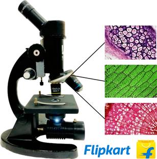labcare Monocular 1125x Student Compound Microscope