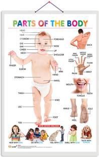 GO WOO Parts of the Body Educational chart with Big font and Dust resistant Lamination
