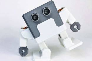 Printed Bots Otto DIY Robot - Humanoid Version - Only 3D Printed Parts