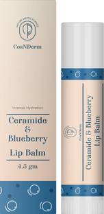 Cosnderm Ceramide & Blueberry Lip Balm |Intense Hydration |Relief For Dry & Chapped Lips Blueberry