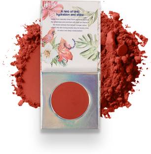 OTBT Perched Tint, Shade Coral Clique, Cheek & Lip Tint, Matte texture, 4.5 gms