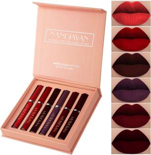 Nandiayan 6Pcs Long Lasting Matte Liquid Lipstick Combo–Waterproof,brown &Wine Shades SetD