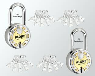alone Round 65mm 20 Same Keys 2 Padlocks for home door gate shutter Brass Combination Padlock