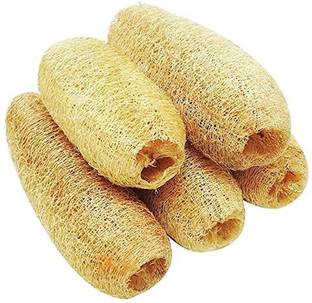 collective zone Loofah
