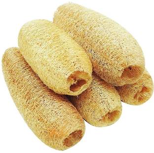 PGD Loofah