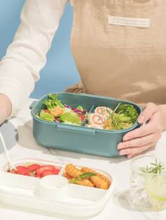 AKR BPA Free lunch box with inner box fork spoon food container 2 Containers Plastic Office Lunch Box