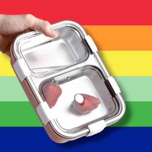 NARV StainlessSteel 2Compartment Pink Lunchbox 750ml _ZZN133 2 Containers Stainless Steel Office Lunch Box