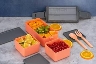 MR Wonder Premium Quality Double Decker/Layer Lunch Box with 3 Detachable Box, 2 Spoons 3 Containers Lunch Box