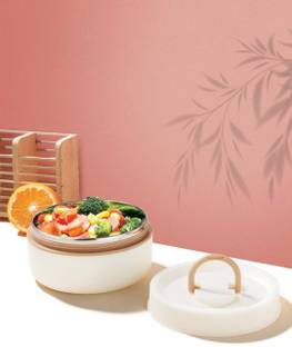 Classic Essentials Luscious Microwave Friendly, Leakproof, Insulated 1pc Lunch Box 1 Containers Lunch Box