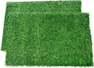 Shree Paras Artificial Grass Floor Mat