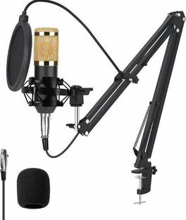 TECHGEAR Microphone Kit with Stainless Steel Includes Arm Stand Pop Filter Foam Cap Microphone