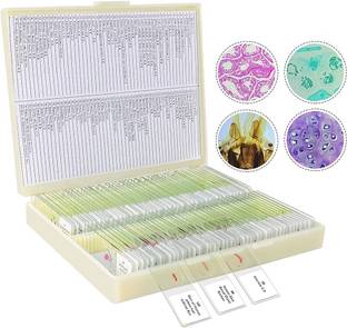 Labgenius Lab100 Microscope Slide Box