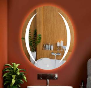 LUPPRA Oval 18X24 inch Wall Mounting Mirror with Light Bathroom Mirror