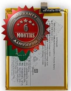 THE BATTERY STORE Mobile Battery For  Vivo Battery for Vivo Y71 /1724 /Y73 Battery with 6 Month Warranty