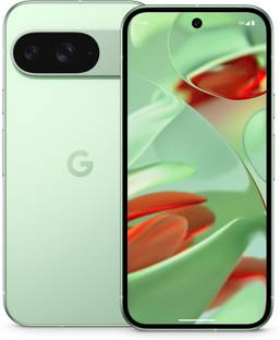 Google Pixel 9 (Wintergreen, 256 GB)