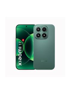 17 (Venture Green, 512 GB)