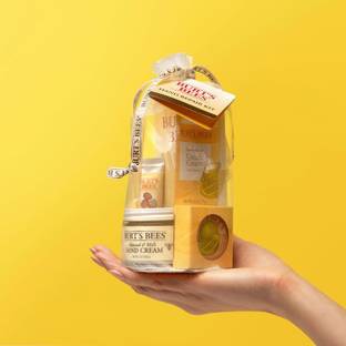 Burt's Bees Hand Repair Kit